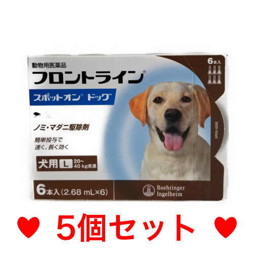◎ON【宅急便・送料無料】犬用　フロントラインスポットオン　L（20〜40kg未満）6本　[5個セット]