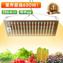  2023iA1 A琬Cg led 琬Cg 600WALED ϗtACg ApledCgʎqv k͔|v pl Pxƕs A ͔| ؍H OՏȃGl