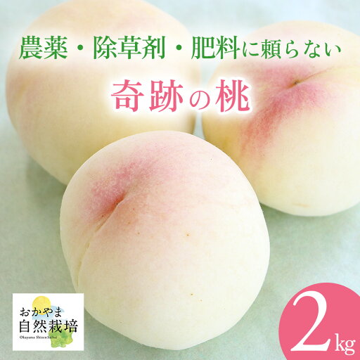 【7月中旬以降発送】奇跡の桃 モモ もも お中元 ギフト 農薬に頼らない 除草剤・肥料に頼らない 奇跡の桃 おかやま自然栽培白桃 <清水白桃 おかやま夢白桃のどちらか>【2kg】美味しい桃 自然栽培 直送 贈り物 フルーツ グルメ 奇跡 自然栽培 桃 おかやま自然栽培 最高級 【7月中旬以降発送】奇跡の桃 モモ もも お中元 ギフト 農薬に頼らない 除草剤・肥料に頼らない 奇跡の桃 おかやま自然栽培白桃 <清水白桃 おかやま夢白桃のどちらか>【2kg】美味しい桃 自然栽培 直送 贈り物 フルーツ グルメ 奇跡 自然栽培 桃 おかやま自然栽培 最高級