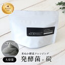 クレンジング 全身シャンプー 大容量 粉末 国産100％ Bio C.H.P WASH＆SHAMPOO ウォッシュ＆シャンプー 麻炭 オーガニック 天然成分 天然由来 無香料 メイク落とし 洗顔 レディース メンズ 無添加 アイメイク 麻炭パウダー ヘンプ 敏感肌 低刺激 毛穴 黒ずみ 洗顔料