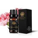 ディフューザー用アロマセラピーエッセンシャルオイルカーネーション、加湿器用100%ピュアカーネーションセンテッドオイル、家庭用ピュアカーネーションエッセンシャル...