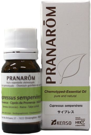 学名:Cupressus sempervirens 蒸留部位:葉付き小枝