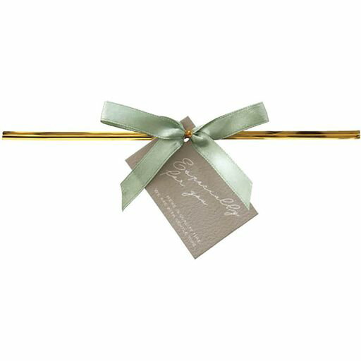 ヘッズ(Heads)ワイヤータイW155xH63mm10個グリーンミスティーカラーリボン付き封止め用HEADSMIM-YT1