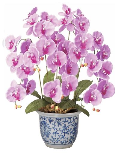 胡蝶蘭造花3本立ち人工観葉植物光触媒インテリアグリーン陶器鉢化粧箱入ピンク高さ55cm(新築祝い開店祝..