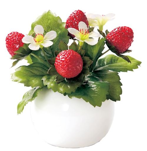 フルタック(Fultac)光触媒消臭抗菌防カビフェイクグリーンラウンドポットストロベリーインテリアグリー..