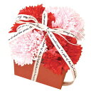 ポピー名古屋ソープフラワーシャボンフラワー造花ギフトプレゼントフラワーBOXカーネーションボックス約9cm箱付きS-111レッド