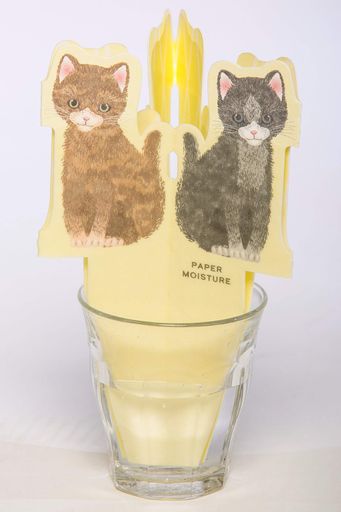 自然気化式ペーパー加湿