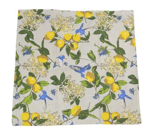 �ե�󥺥ҥ륯�å���󥫥С����ȥ饹�С��ɥ��쥤