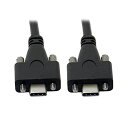 NFHK300CMデュアルネジロックUSB3.1TYPE-C~10GBPSUSB-Cデータケーブルパネルマウントタイプ