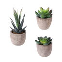 OUNONAサボテンフェイクグリーン観葉植物人工多肉植物造花3個セットミニ北欧おしゃれ卓上置物観葉樹プレゼントインテリアグリーン