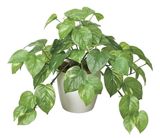 光触媒人工観葉植物光の楽園フレッシュポトス384A50