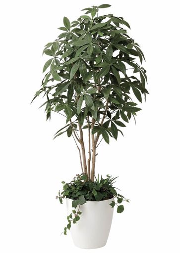 光の楽園フェイクグリーン造花パキラ1.8植栽付412P515