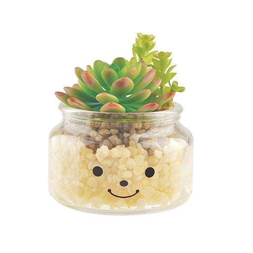 キシマ(Kishima)消臭グッズ全般グリーンφ10xH11cm