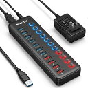WENTERUSBハブ3.0Hub7ポート+4充電ポート2023改良【ACアダプタ付きセルフパワー/バスパワー独立スイッチ付USB拡張5Gbps高速LEDライト搭載】高耐久性(Large)