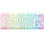 deathstalker v2 pro tenkeylessの画像