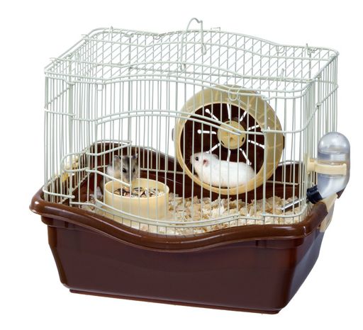 マルカンバナナチョコハウスハムスター用