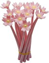 Maydahuiかわいい桜花ボールペン12本セット0.5mm黒インクおしゃれジェルボールペン可愛い文房具手帳用筆記用子供学生ギフトプレゼント