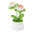 PATIKILクロシェフラワー鉢植え2つヘッドローズフラワー手作りニットミニ鉢植えバレンタインギフト家庭やオフィステーブル装飾に最適グラデーションピンクホワイト