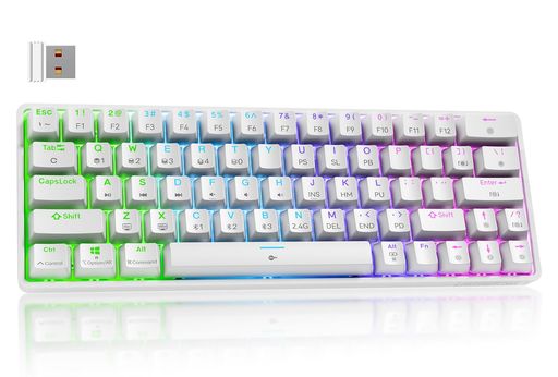 Dierya DK63 ワイヤレスゲーミングメカニカルキーボードBluetooth/2.4G/有線接続 赤軸メカニカルスイッチ 60% キーボード RGBバックライト 全キー無衝突 英語配列 Windows/Mac対応 (ホワイト, 赤軸)