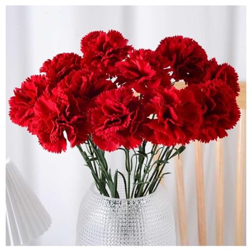 �����͡������¤��11�������֥����͡�����󸨲ָϤ�ʤ��ֿ������׶ʤ�����͹����տ�ʪ�����ȥ����ƥ��ե������ե��̲������奷��ץ륤��ƥꥢ����������...