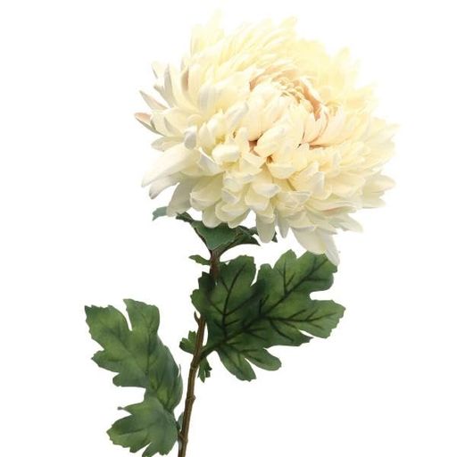 Other Aquatic Plants - 造花シルクフラワー『セピアマムクリームF5042-037』