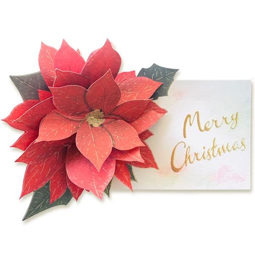 Other - GreetingLife(グリーティングライフ)クリスマスカードフラワーポップアップポインセチアLY-27