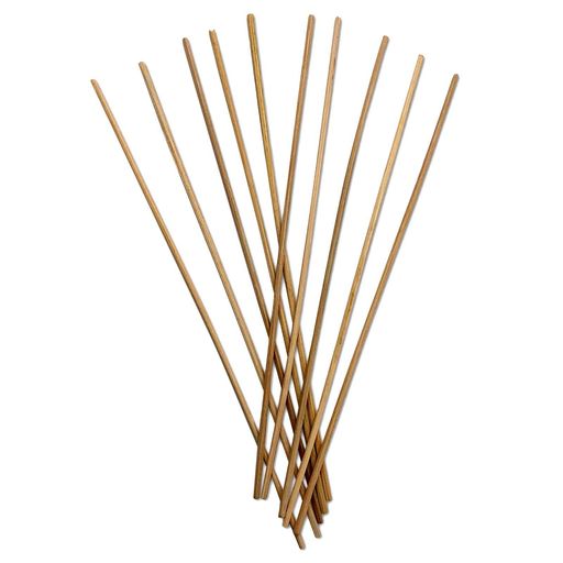 鶥꡼ɥƥå24cm10꡼ɥǥե塼666061