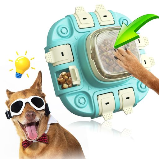 �����ΰ����Ѥ������������Ῡ���ɻ߿��凉�ȥ쥹��ÿ͵�Ǿ�ȥ콸���ϸ���IQ����Ǿ�ɷ㱿ư��­��Ŭ�Ѿ���/�淿/�緿�������������ꥹ�ޥ��ץ쥼��Ⱥ�Ŭ�֥롼