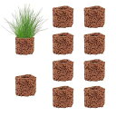 DFsucces水生植物固定リング底砂溶岩石水草の固定水槽オーナメント濾過材料花壇金魚水草苔盆栽水族館装飾水槽アクセサリー(10個セット)