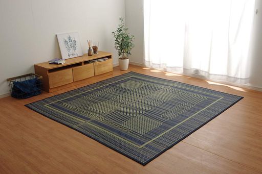 �����ҥ�����饰�����ڥå�NS�ץ쥢�֥롼��191x300cm#8193640