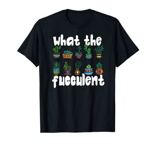 FUCCULENTܥƥ¿ʪʪݥե T