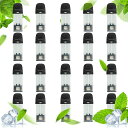 HECCO 電子タバコ MODEL 2互換 アイスメンソール カートリッジ アイスミント モデル2対応 VAPE 爆煙 フレーバーポッド ニコチン・タール・色素...