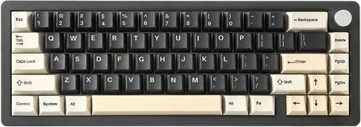 YUNZIIAL66ゲーミングキーボードワイヤレスメカニカルアルミ製65%ノブ付きBluetooth/2.4G/有線ホットスワップ対応ガスケット搭載潤滑済みスイッチRGBWin/Mac用技適認証取得(ミルクスイッチ、ブラ…