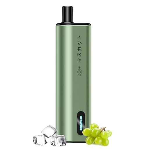 Eonfine 電子タバコ 使い捨て ベイプ 13000回吸引可能 シーシャ vape タールニコチンゼロ 水蒸気タバコ