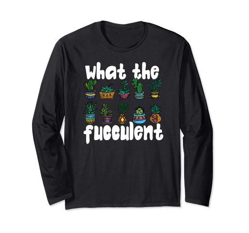 FUCCULENTܥƥ¿ʪʪݥե ĹµT