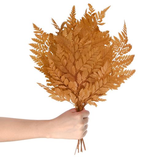 MMETERXITY10パックのシダ15”の天然乾燥緑リー(茎付き)ウェディングガーランドブーケ/ホームパーティー..