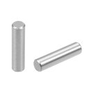 YESALLWASノックピン6MMX40MM10個入り平行ピンステンレスダボピン棚サポート棚ピン棚板ダボピンスチールピン(6MMX40MM10個入り)