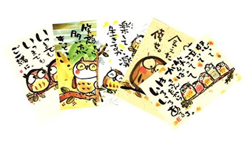 絵葉書梟(ふくろう)5枚セットK6358