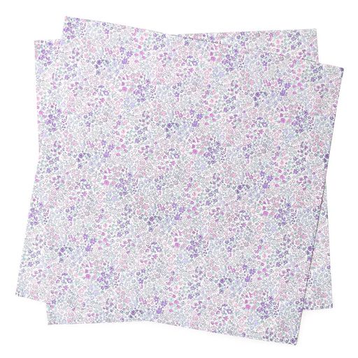 ランチクロス 女の子 2枚セット 給食 ナフキン お弁当 スタンダード 45x45cm 正方形 フローラルミスト カラフルキャンディスタイル N3969800