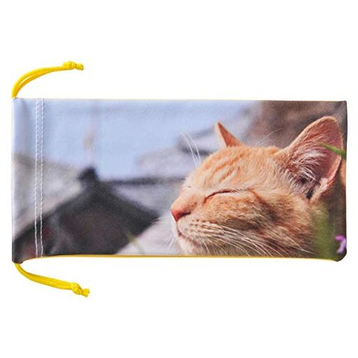 Rakuten - メイガンメガネケースかわいい猫写真のソフトケース茶トラ猫五十嵐健太『飛び猫®』シリーズ2622-06