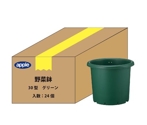 ڥۥåץ륦 ȭ30 ꡼ 24