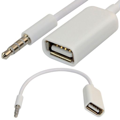 BLUEXIN 3.5 MMオスAuxオーディオプラグジャックにUSB 2.0メス変換ケーブルコードen (MP3デコード機能付き車載AUX専用 / スマホ・ヘッドホン非対応)