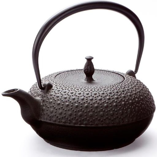 及源南部鉄器鉄瓶東雲亀甲1.0LIH対応H-200