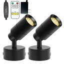 LEDスポットライト屋内用プラグイン5W4Mコード調光定時機能ワイヤレスコントローラーフロアスポットライトアクセントライトアンビエントライト植物写真アート(電球色)