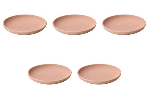 5個セット耐熱8号ホーロク[25x3.8cm]|陶板萬古焼直火セトモノホンポ(Setomonohonpo)