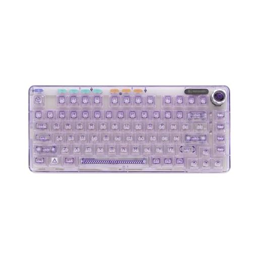 OUSEITECH X Aula F81 ゲーミングキーボード メカニカル 透明キーボード 透明キーキャップ 81キ ーワイヤレス ホットスワップ対応 RGBバックライト BT4.0、BT5.0/2.4G/USB-C ガスケット搭載
