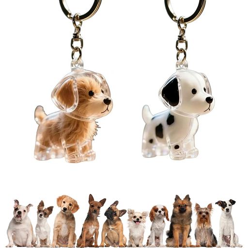 1、ペットの毛を入れるキーホルダーとして、愛する犬の毛や猫の毛をそっと閉じ込め、いつでもそばに感じられるメモリアルグッズです。 2、高品質なアクリルやレジンを使用し、遺毛ケースとして透明感のある仕上がりに。犬のけ入れるキーホルダーとして毛の色味も美しく映えます。 3、専用のキャップを開け、愛犬・愛猫の毛をそっと入れて閉じるだけ。柴犬 キーホルダーなど、お好みのデザインにペット 遺毛 ケースとして簡単に仕上げられます。 4、愛犬チャームとしてバッグや鍵に付けられるほか、マイペットチャームとして思い出を日常に寄り添うアクセサリーに。ペット メモリアルグッズとしても最適です。 5、お散歩やお出かけの際はもちろん、キーホルダーとして毎日持ち歩くことで、いつでも愛しいペットとの絆を感じられるシーンを彩ります。