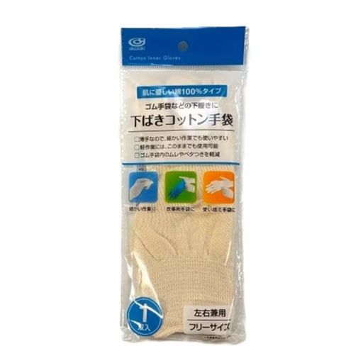 オカザキ下ばきコットン手袋約縦23.5cmx横9cm
