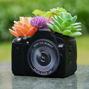 KIKTOPプラントポットインドア多肉植物プランター-カメラホーム装飾小型フラワーポットインドアデスク植物用本棚装飾ギフト多肉植物ポットドレナージ付き12cm(カメラ12cm)