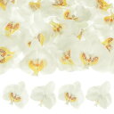 MMETERXITY20個入りの人工蝶蘭の花のヘッドシルク製の偽の蝶の花のヘッドウェディング/ブーケ/花嫁/パーティーの装飾用フェイクのフィレノプシスの花びらの...